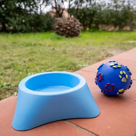 A 4 Minuti Dal Mare E Dal Centro Paese! Incantevole Indipendente Con Giardino *